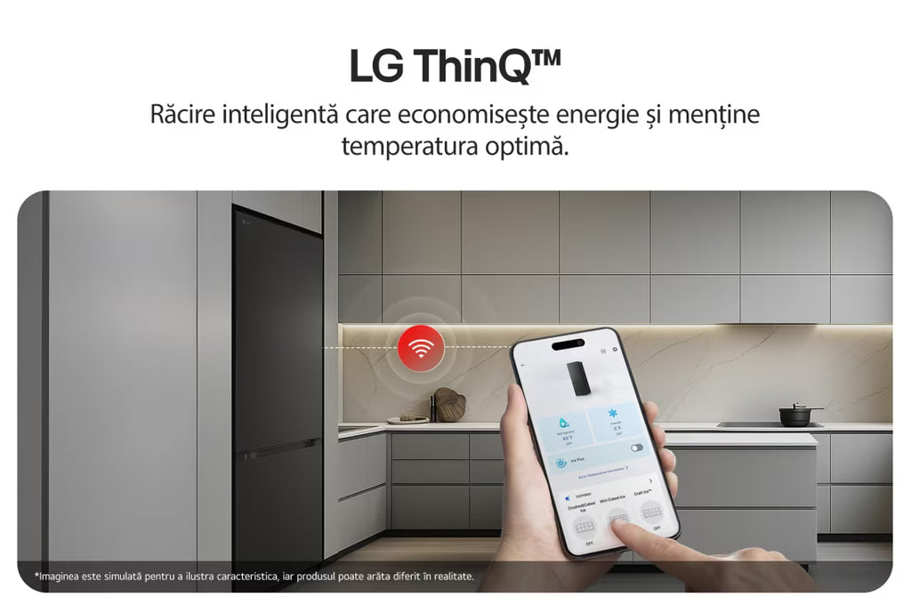 Combină frigorifică LG GBBSJ21DEP